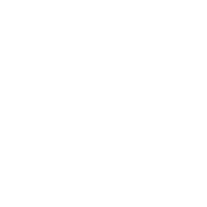 DevKit Plugin Tool Icon